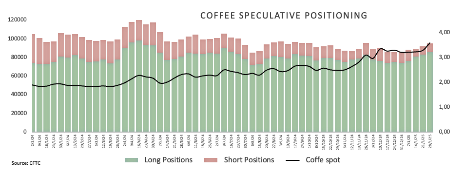 克而瑞研究中心:2月中国房地产市场持续回稳,TOP100房企销售金额同比增长1.2%